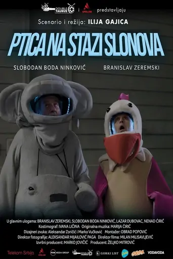 Ptica na stazi slonova Film izle