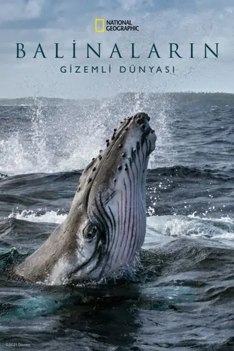 Balinaların Gizemli Dünyası Dizi izle