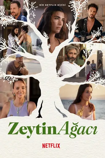 Zeytin Ağacı Dizi izle