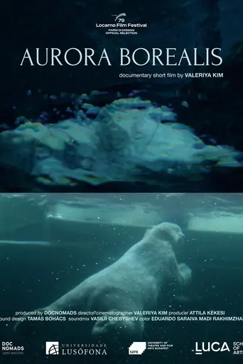 Aurora Borealis Film izle