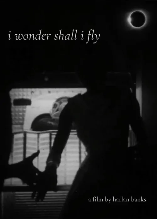 i wonder shall i fly