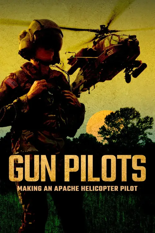 Gun Pilots