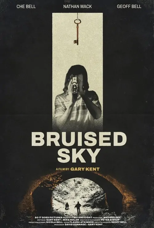 Bruised Sky