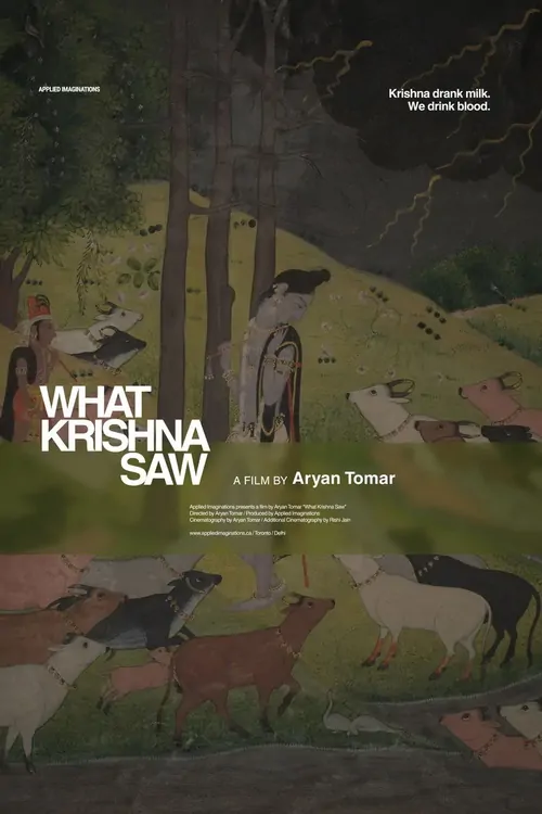 What Krishna Saw