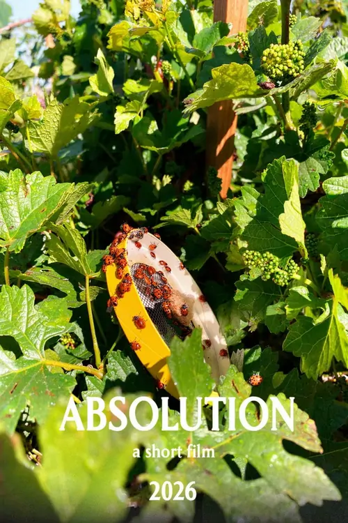 Absolution