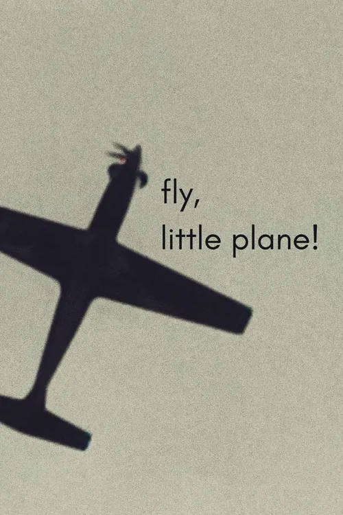 fly, little plane!